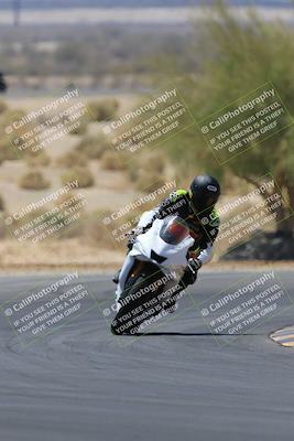 media/May-14-2023-SoCal Trackdays (Sun) [[024eb53b40]]/Turn 5 Tree of Life (1125am)/